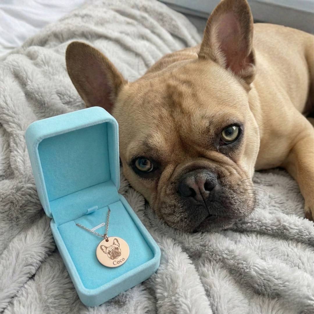 Custom Pet Face Necklace - My Pet Canvas
