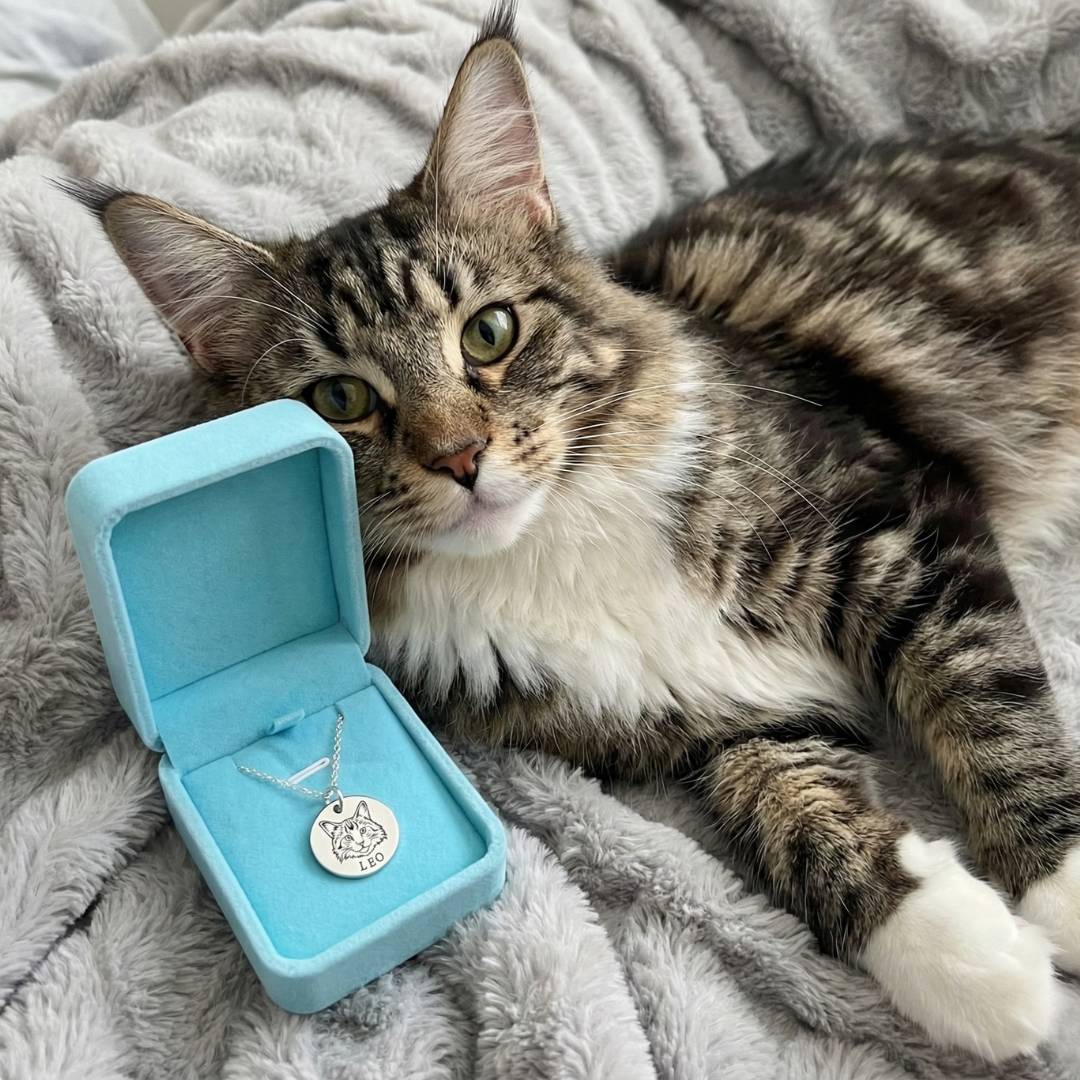 Custom Pet Face Necklace - My Pet Canvas